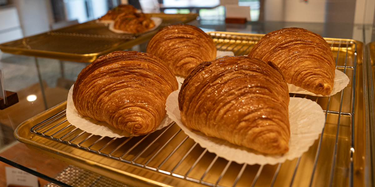 갤러리 카페 & 샵